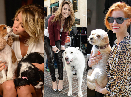 Julianne Hough, Maria Menounos, Jessica Chastain Julianne Hough, Maria Menounos, Jessica Chastain
